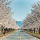 청양 2리 이미지