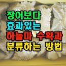 하늘장어 - 중구 운중로 103 | 하늘장어