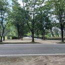 여의도본라인한의원 이미지