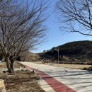 시선글램핑 | 가족, 연인, 친구들 다같이 오고 싶은 남해글램핑 &#34;시선글램핑&#34; 내돈내산 후기