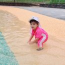 도래새미공원 이미지