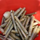 바람아래 - 서귀포시 성읍민속로 89 | 독산해수욕장 해루질 후기! 맛조개 대박 + 바람아래해수욕장 키조개 스킨해루질 + 캠핑 먹방