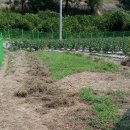 새일농장 이미지