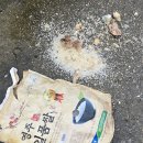 매니아카페