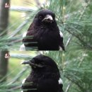 기형농장 이미지