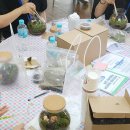 직장인 힐링 원예치료 이미지