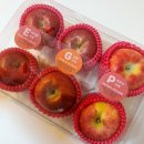 오늘의 마이핏 | 맛있는 신품종 사과 &lt;마이핏사과&gt; 패키지 후기