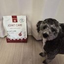 AIR PET | [꾹펫] 강아지사료 조인트케어 소프트 관절사료 후기