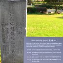 유당공원 내 비군 이미지