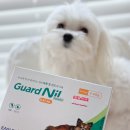 펫팜 | 강아지 진드기약 외부기생충약 가드닐 파는 동물약국 찾기 어플 펫팜