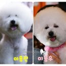 루비7080 이미지