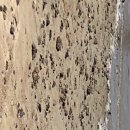 더케이내과의원 이미지