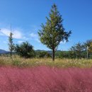 강변장여관 이미지