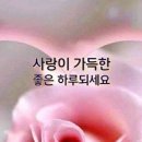 부동산지오공인중개사사무소 이미지