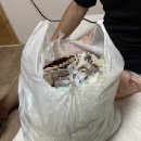 7월 23~28일 반려견들과 함께하는 제주여행(2) 새별오름, 쉐프1192, 또자스테이, 함덕해물라면