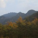 동산건재