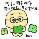 풀베개 제주 서귀포 안덕면 카페 <b>풀</b><b>베개</b> 애견동반가능카페