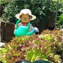 이레어린이집 | 아이와 함께 행복을 배우는 강서구 이레어린이집 체험 후기