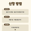 보듬몰