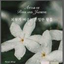 아타르(ATTAR)