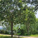 FUNNY LAND | 스터디모임-정리안하면 또 까먹을테니까