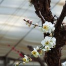 두물머리 이미지