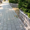 오늘도한의원 이미지