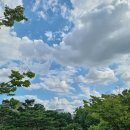 세현상사 | 서울 생활 에필로그) 세현상사 수제호구 가봉 후기