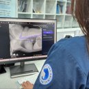 y동물병원 이미지