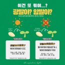 광무체육관 | 四字成語 총정리 &lt;ㄱ&gt; 753 광명소설~광무총국