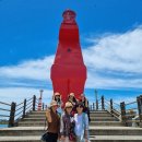 차놀자렌트카㈜ | 제주도 렌트카 기사포함! 제주 콤비버스 대절 대여 여행 후기
