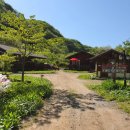곰배령숲사랑방1