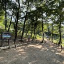 용인나비 미디어연합