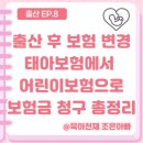 출산 후 보험 변경 태아보험에서 어린이보험으로, 성별 환급금부터 보험금 청구까지 총정리