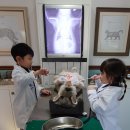 소풍동물병원 이미지