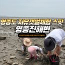 갯벌이야기 | 영종도 갯벌 체험 스팟 추천 영종진해변 자유 갯벌체험 찐후기