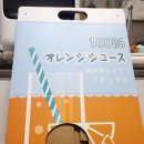 도그-in 하우스 이미지