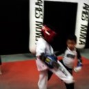 킥복싱 아레스짐 이미지