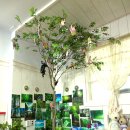 사랑나무유치원 이미지