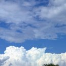 31140-8-17-2 | 모노그램 강릉 레지던스 코너 스위트 9개월 아기랑 초신상 투숙후기 (예약 및 체크인 후기) 8/15-17 (2)