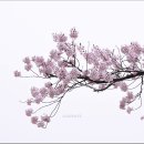 이원초등학교 이미지