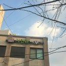 [노량진사진관]전국에서 증명 사진 제일 잘찍는 곳:: 사진관 나무 내돈내산 후기