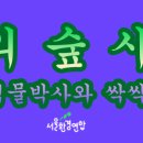 씨앗과 숲