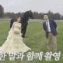 반전매력