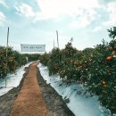 하늘민박 이미지