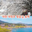 2024 대청호 벚꽃길 마라톤 대회 | 대전 가볼만한곳 대청호 벚꽃축제 2026 대덕물빛축제 가수 대청호 벚꽃길 마라톤대회. 대청댐전망대