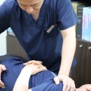 경희생명나무한의원 이미지