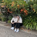 제주 리틀포레스트 이미지