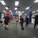 성남권투체육관 이미지