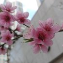 SEVEN노래연습장 이미지